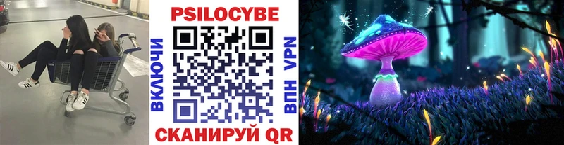 Купить  Поворино  Галлюциногенные грибы мицелий 